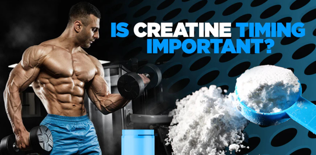 Best creatine supplements including creatine monohydrate and micronized creatine for optimal muscle growth, strength, and performance enhancement